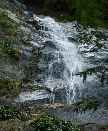 Cascada de agua en el Parque Nacional da Tijuca