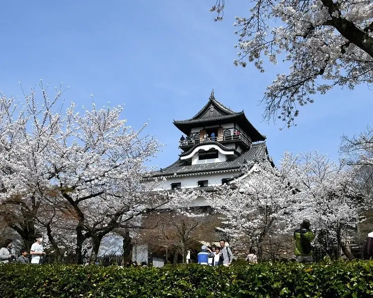 Castillo de Inuyama