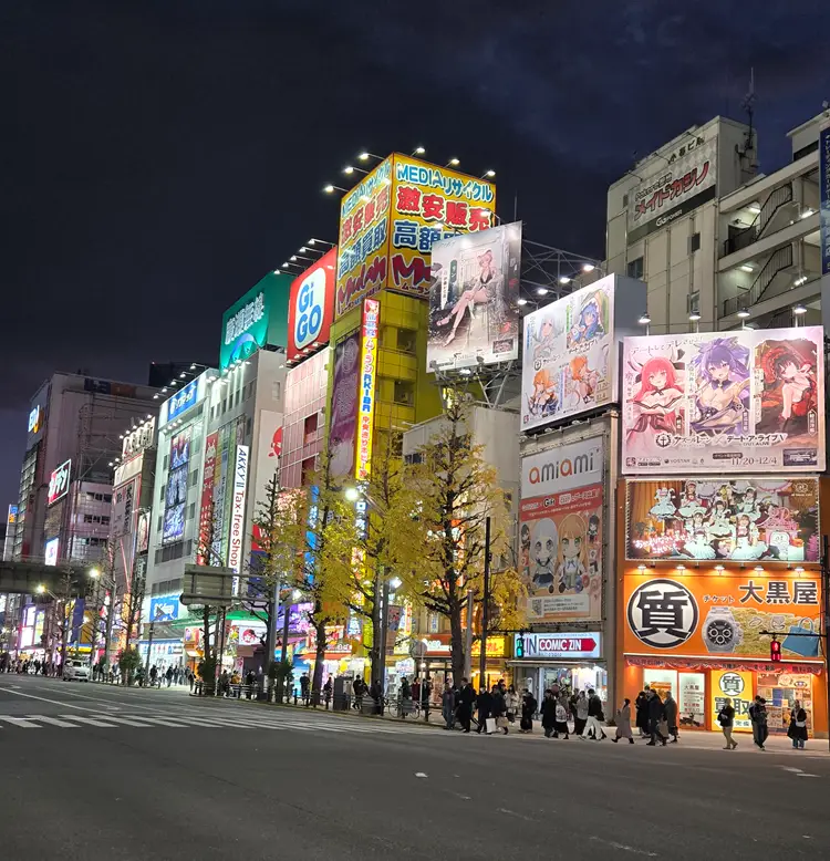 Calles de Akihabara
