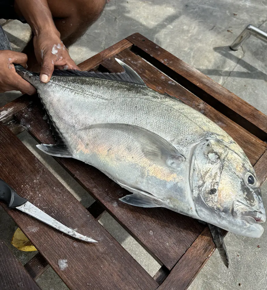 Fish Market de Malé