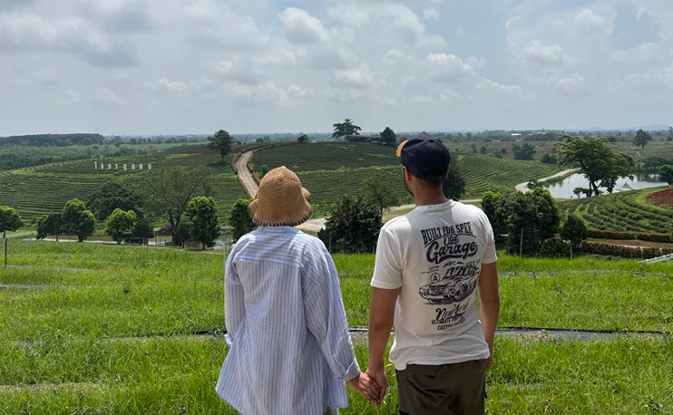 Plantaciones de té Choui Fong