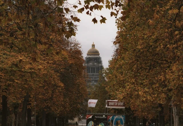 Parque de Bruselas
