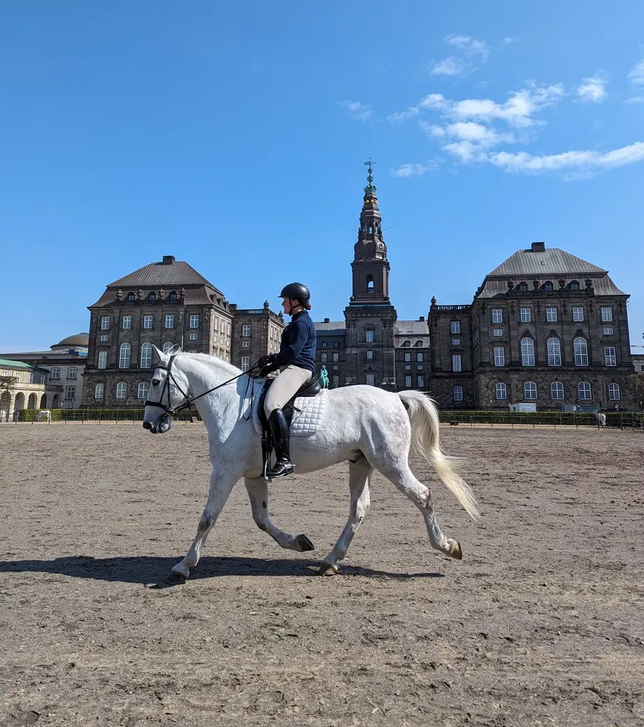 Palacio de Christiansborg en Copenhague
