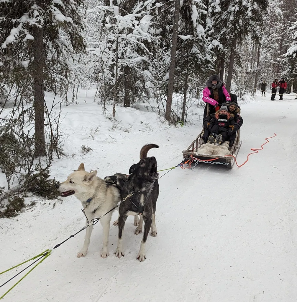 Trineo con huskies en Rovaniemi