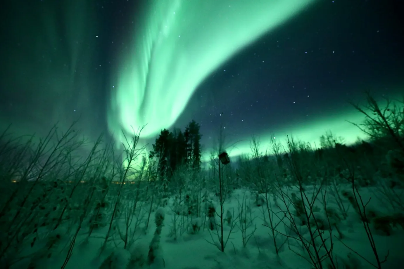 Auroras boreales cerca de Rovaniemi
