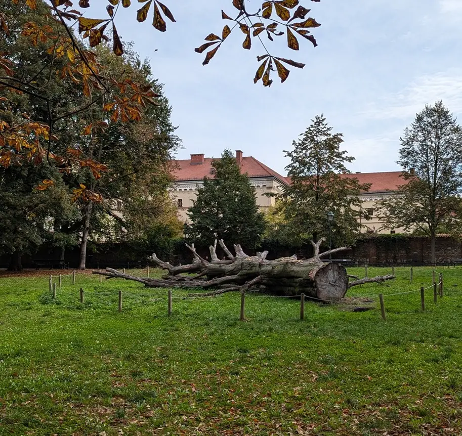 Parque Planty en Cracovia